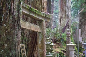 Japan (2015) - Koyasan - Waldfriedhof