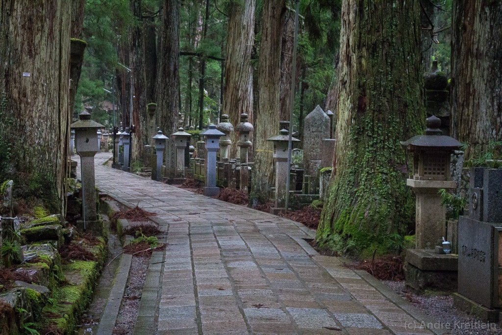 Japan (2015) - Koyasan - Waldfriedhof
