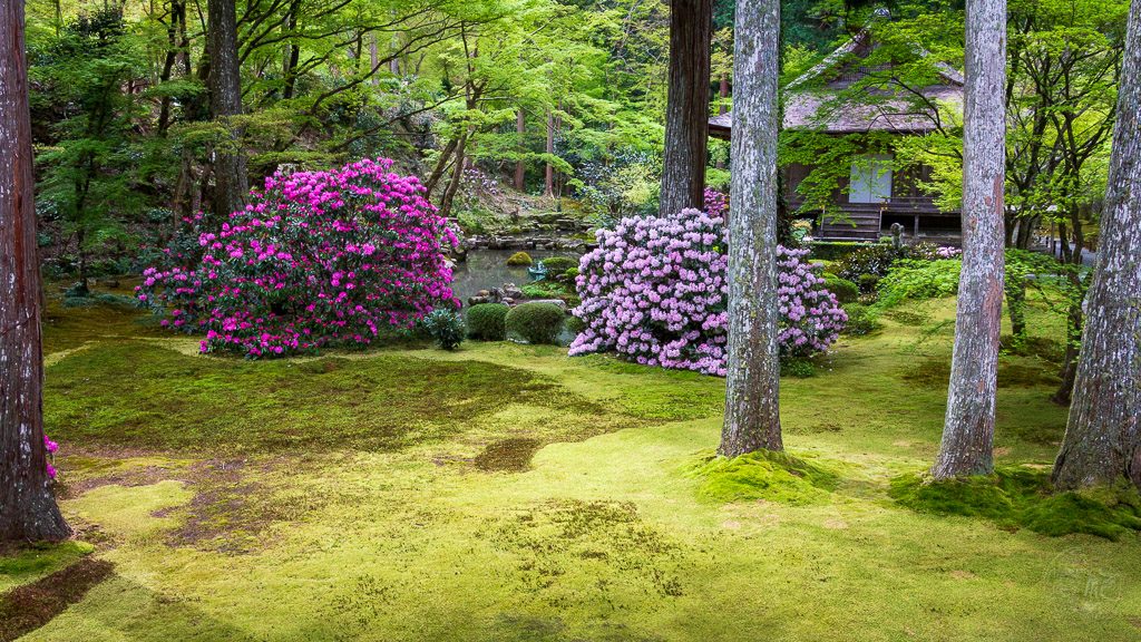 Japan (2018) - Kyoto - Sanzen-in Tempel