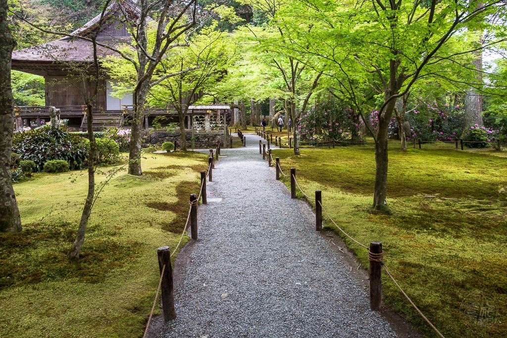 Japan (2018) - Kyoto - Sanzen-in Tempel