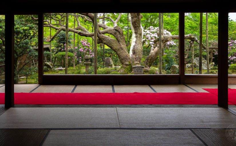 Japan (2018) – Kyoto – Hosen-in Tempel