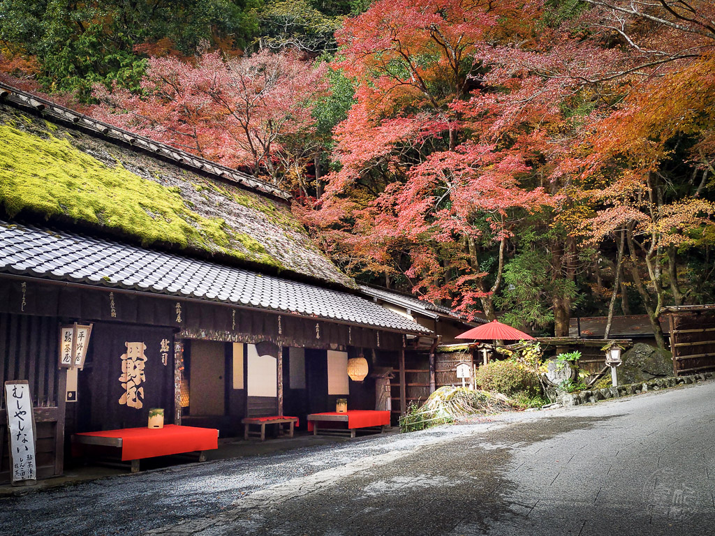 Japan (2019) - 002a Kyoto Saga Toriimoto Preserved Street