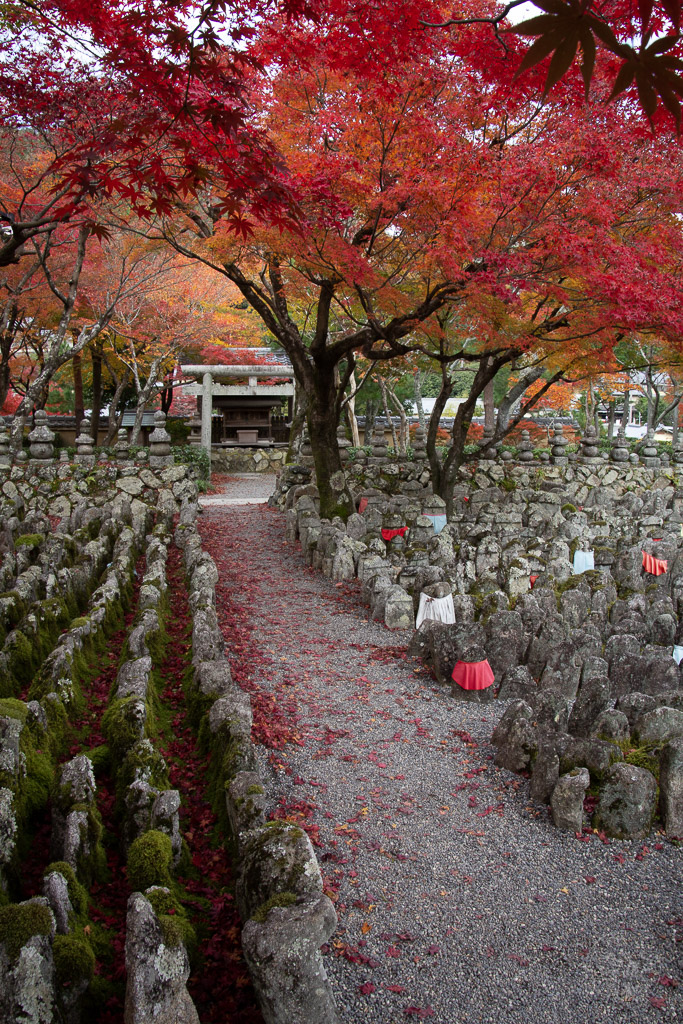 Japan (2019) - 003 Kyoto Adashino Nenbutsuji Tempel