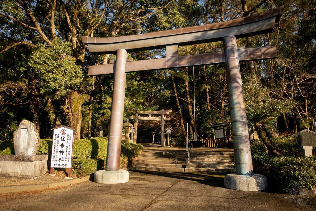 Japan (2019) - 035 Miyazaki Sumiyoshi Shrine (Zoo)