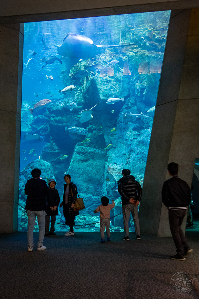 Japan (2019) - 045 Oita Umitamago Aquarium