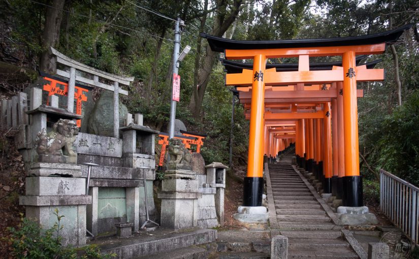 Japan (2020) – Kyoto – Fushimi Inari-Taisha Schrein – Der Aufstieg