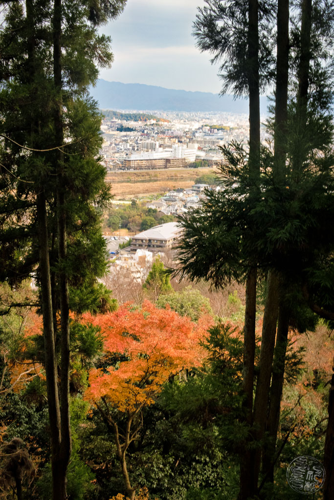Japan (2022/23) -008 (T007) Arashiyama Affenpark Iwatayama
