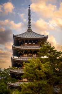 Japan (2022/23) - Nara - Kofuku-ji Tempel - 20230106-170555-IMG_0636-Bearbeitet