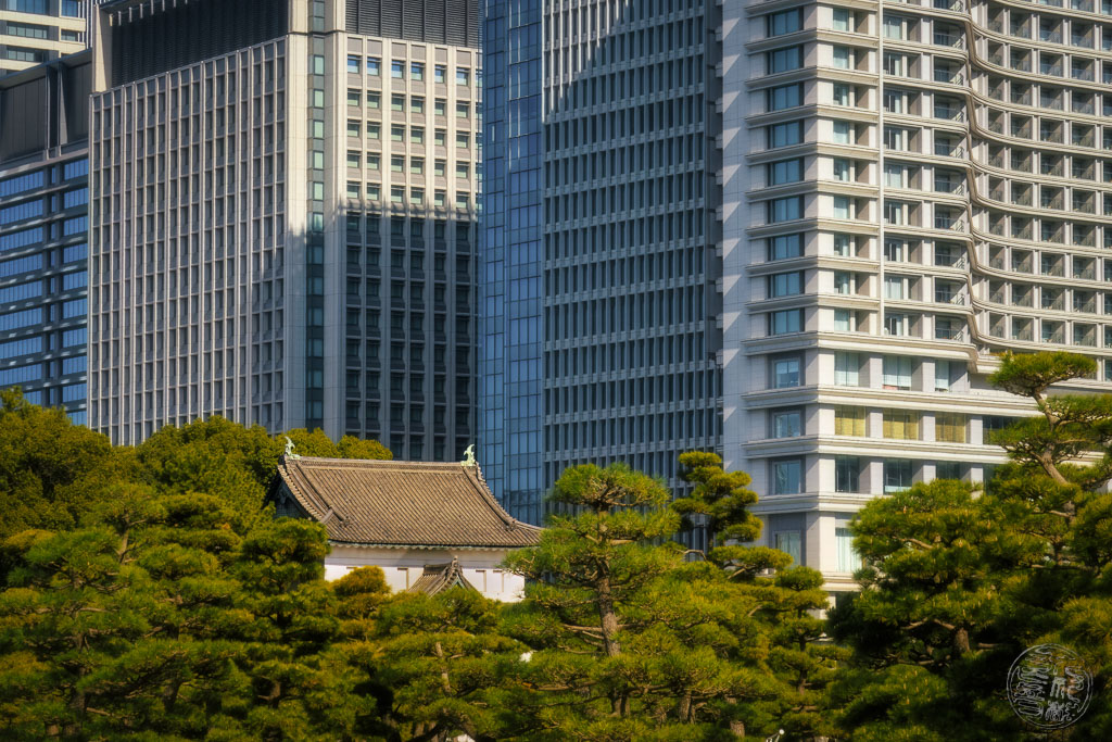 Japan (2022/23) - Tokyo - Kokyo Gaien Nationalgarten - 20230129-125345-IMG_1328-Bearbeitet
