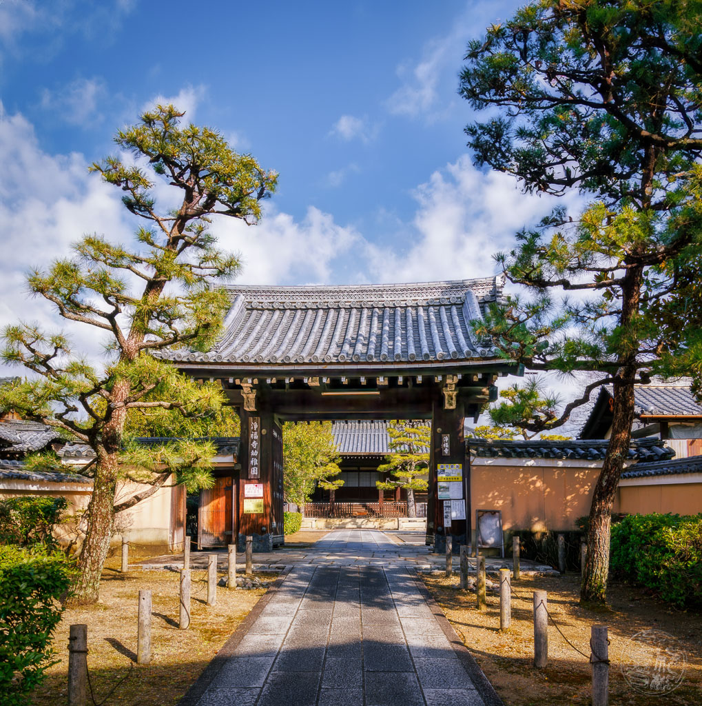 Japan (2022/23) - Kyoto - Jofukuji Tempel - 20230211-095243-_A8A7257-Bearbeitet