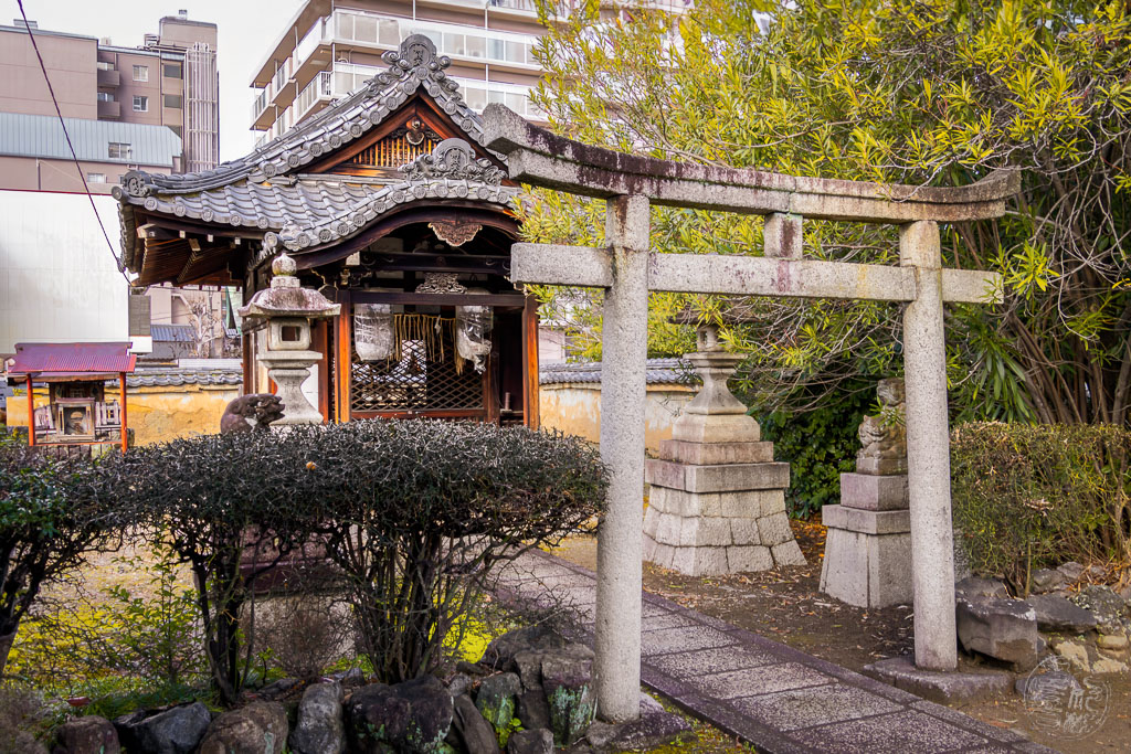 Japan (2022/23) - Kyoto - Jofukuji Tempel - 20230211-095353-_A8A7265-Bearbeitet