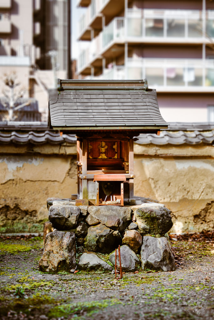Japan (2022/23) - Kyoto - Jofukuji Tempel - 20230211-095530-_A8A7278-Bearbeitet