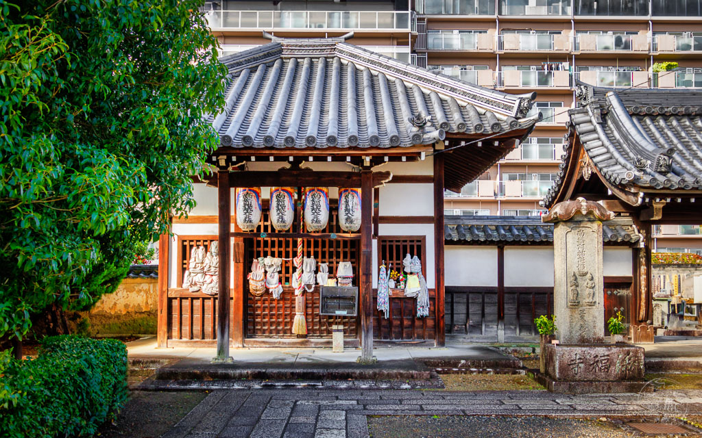 Japan (2022/23) - Kyoto - Jofukuji Tempel - 20230211-095732-_A8A7284-Bearbeitet
