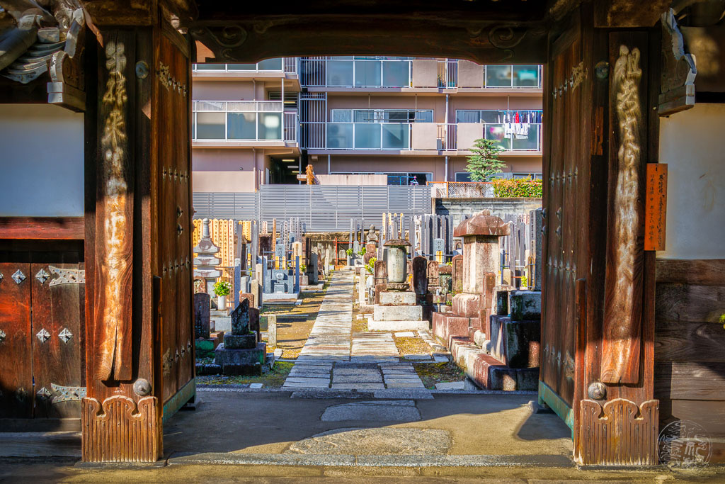 Japan (2022/23) - Kyoto - Jofukuji Tempel - 20230211-095940-_A8A7302-Bearbeitet