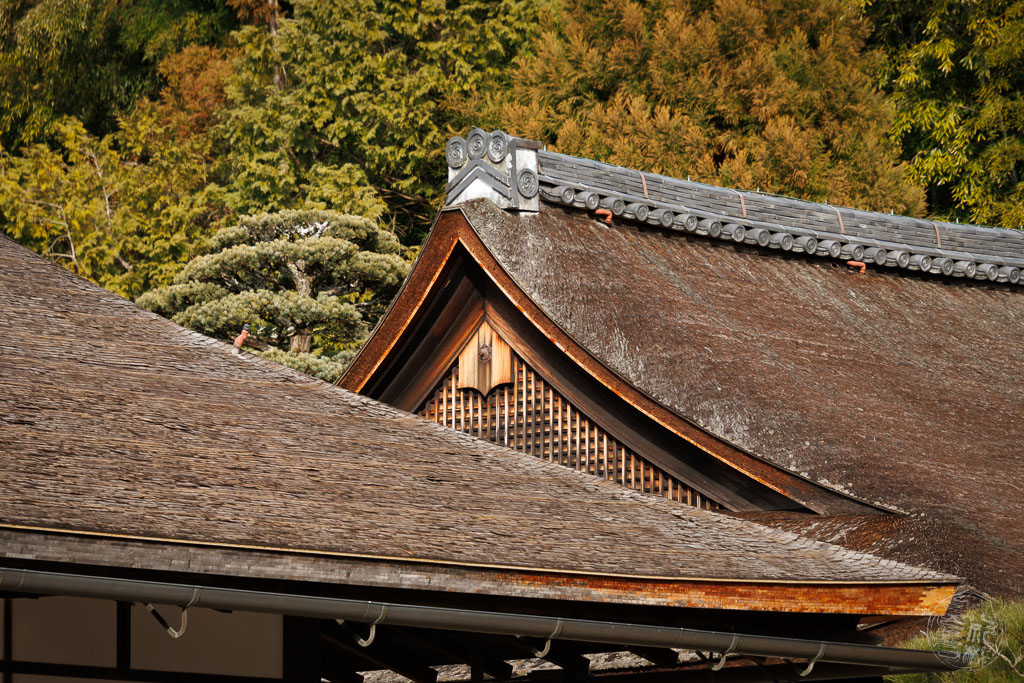 Japan (2022/23) - Kyoto - Ginkaku-ji (silberner Tempel) - 20230211-150349-_A8A7859-Bearbeitet