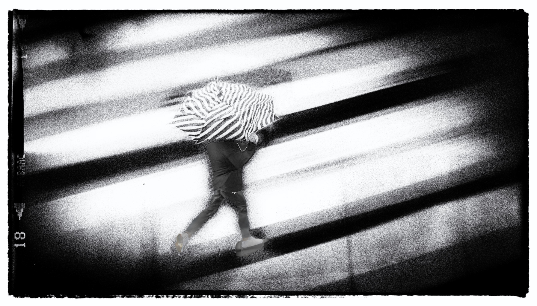 Firefly Mann mit Regenschirm rennt über einen Zebrastreifen. Blick auf die szene von oben 4436