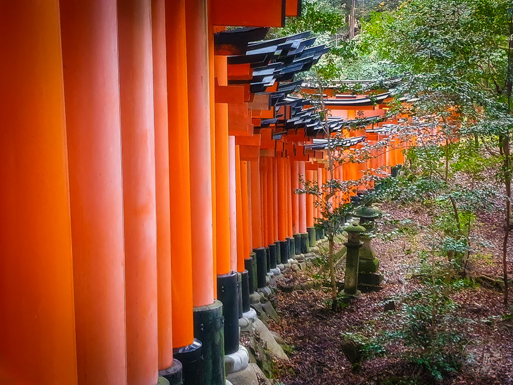 Japan (2022/23) - 069 (t014) Kyoto - Fushimi Inari Taisha - 20221222-141148-20221222_141148-Bearbeitet