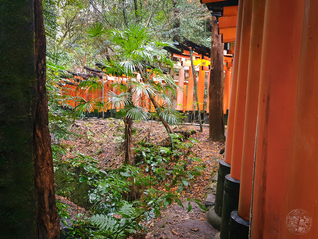 Japan (2022/23) - 069 (t014) Kyoto - Fushimi Inari Taisha - 20221222-142313-20221222_142312-Bearbeitet